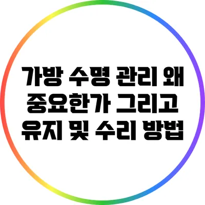 가방 수명 관리: 왜 중요한가? 그리고 유지 및 수리 방법