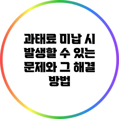 과태료 미납 시 발생할 수 있는 문제와 그 해결 방법