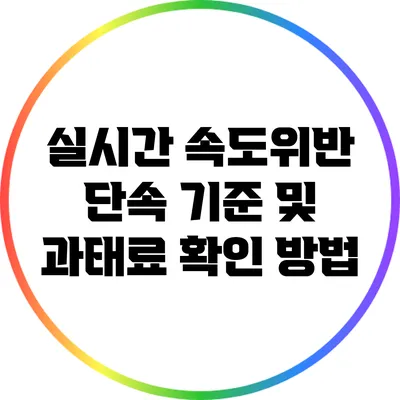 실시간 속도위반 단속 기준 및 과태료 확인 방법