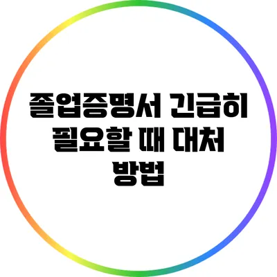졸업증명서 긴급히 필요할 때 대처 방법