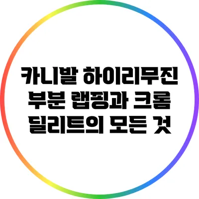 카니발 하이리무진 부분 랩핑과 크롬 딜리트의 모든 것