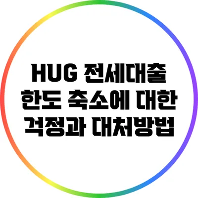 HUG 전세대출 한도 축소에 대한 걱정과 대처방법