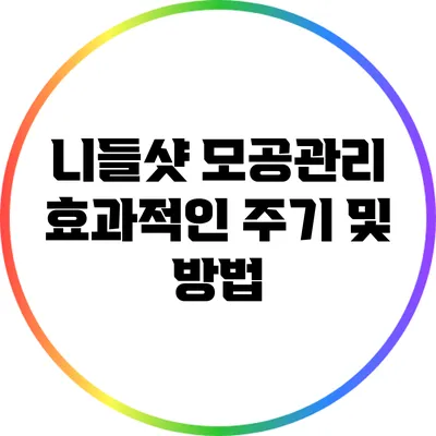 니들샷 모공관리: 효과적인 주기 및 방법