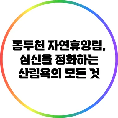 동두천 자연휴양림, 심신을 정화하는 산림욕의 모든 것