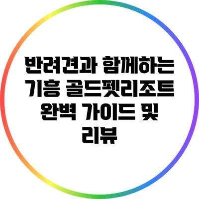 반려견과 함께하는 기흥 골드펫리조트 완벽 가이드 및 리뷰