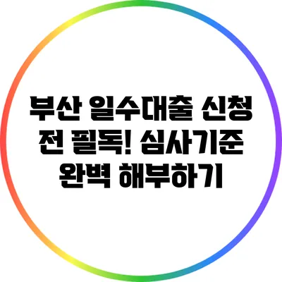 부산 일수대출 신청 전 필독! 심사기준 완벽 해부하기