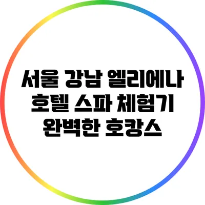 서울 강남 엘리에나 호텔 스파 체험기: 완벽한 호캉스