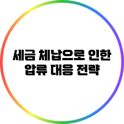 세금 체납으로 인한 압류 대응 전략