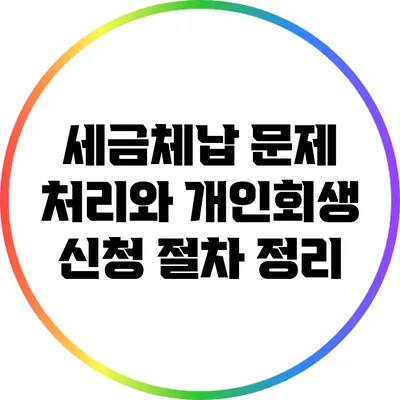 세금체납 문제 처리와 개인회생 신청 절차 정리
