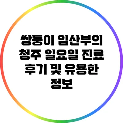 쌍둥이 임산부의 청주 일요일 진료 후기 및 유용한 정보