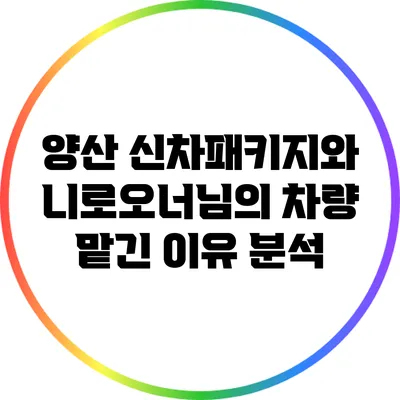양산 신차패키지와 니로오너님의 차량 맡긴 이유 분석
