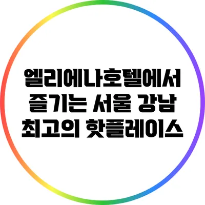 엘리에나호텔에서 즐기는 서울 강남 최고의 핫플레이스