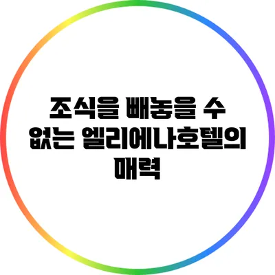 조식을 빼놓을 수 없는 엘리에나호텔의 매력
