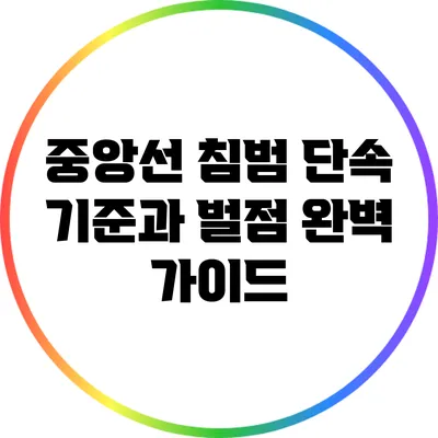 중앙선 침범 단속 기준과 벌점 완벽 가이드