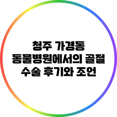 청주 가경동 동물병원에서의 골절 수술 후기와 조언