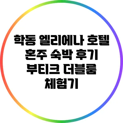 학동 엘리에나 호텔 혼주 숙박 후기: 부티크 더블룸 체험기