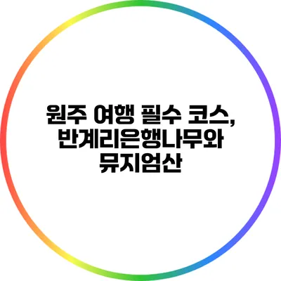 원주 여행 필수 코스, 반계리은행나무와 뮤지엄산