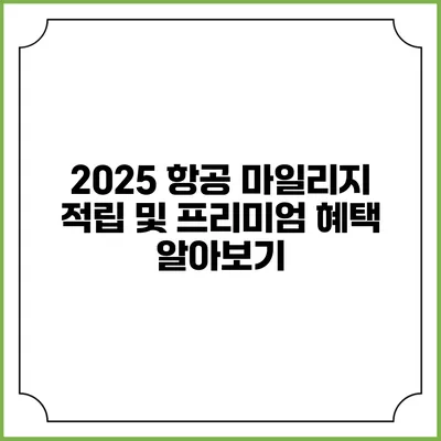 2025 항공 마일리지 적립 및 프리미엄 혜택 알아보기