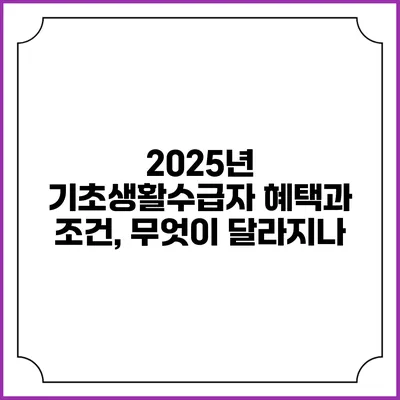 2025년 기초생활수급자 혜택과 조건, 무엇이 달라지나?
