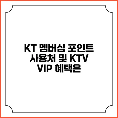 KT 멤버십 포인트 사용처 및 KTV VIP 혜택은?