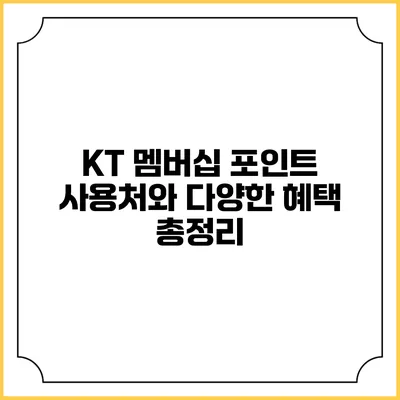 KT 멤버십 포인트 사용처와 다양한 혜택 총정리