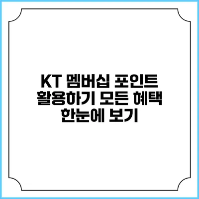 KT 멤버십 포인트 활용하기 모든 혜택 한눈에 보기