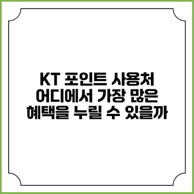 KT 포인트 사용처 어디에서 가장 많은 혜택을 누릴 수 있을까?