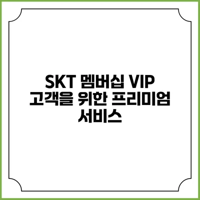 SKT 멤버십 VIP 고객을 위한 프리미엄 서비스