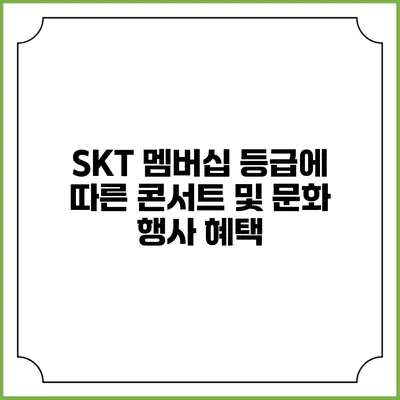 SKT 멤버십 등급에 따른 콘서트 및 문화 행사 혜택