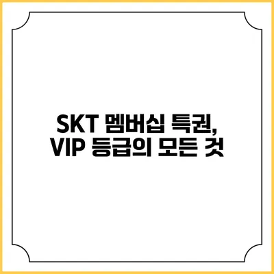 SKT 멤버십 특권, VIP 등급의 모든 것