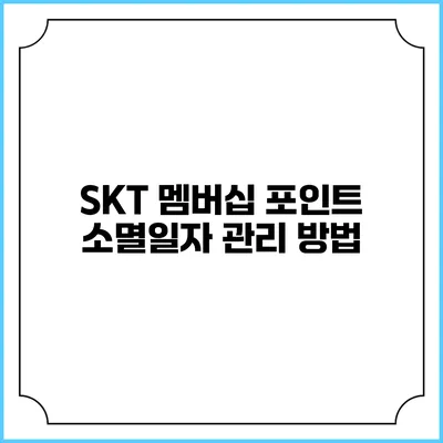SKT 멤버십 포인트 소멸일자 관리 방법