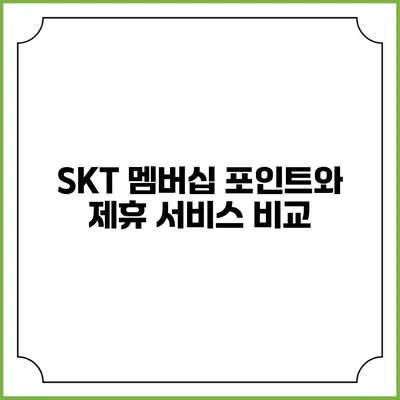 SKT 멤버십 포인트와 제휴 서비스 비교