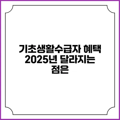 기초생활수급자 혜택 2025년 달라지는 점은?