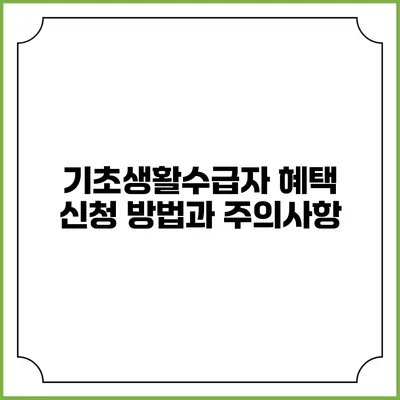 기초생활수급자 혜택 신청 방법과 주의사항