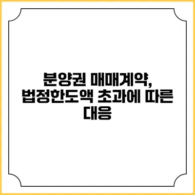 분양권 매매계약, 법정한도액 초과에 따른 대응