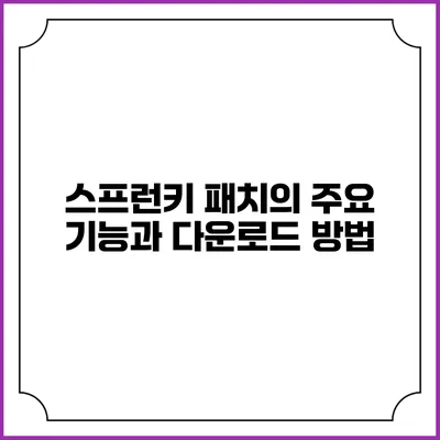 스프런키 패치의 주요 기능과 다운로드 방법