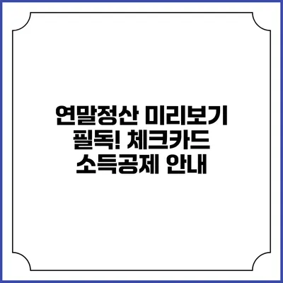 연말정산 미리보기: 필독! 체크카드 소득공제 안내