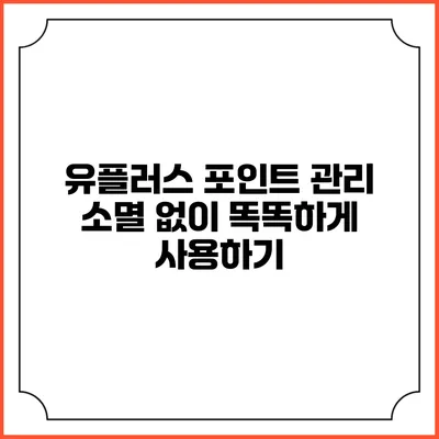 유플러스 포인트 관리 소멸 없이 똑똑하게 사용하기