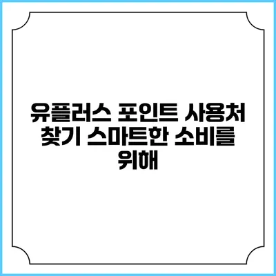 유플러스 포인트 사용처 찾기 스마트한 소비를 위해