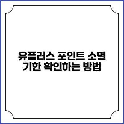 유플러스 포인트 소멸 기한 확인하는 방법