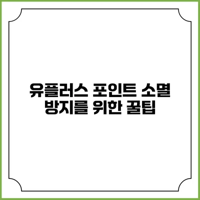 유플러스 포인트 소멸 방지를 위한 꿀팁