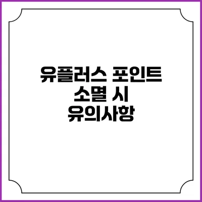 유플러스 포인트 소멸 시 유의사항
