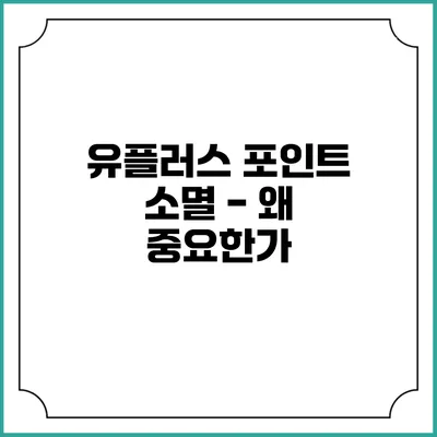유플러스 포인트 소멸 - 왜 중요한가?