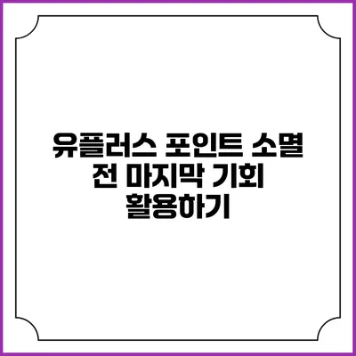 유플러스 포인트 소멸 전 마지막 기회 활용하기