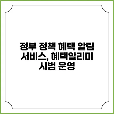 정부 정책 혜택 알림 서비스, 혜택알리미 시범 운영