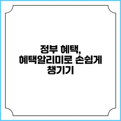 정부 혜택, 혜택알리미로 손쉽게 챙기기