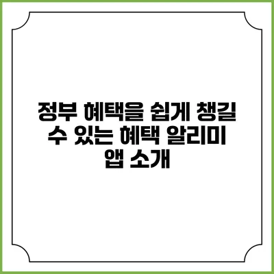 정부 혜택을 쉽게 챙길 수 있는 혜택 알리미 앱 소개