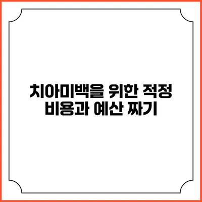 치아미백을 위한 적정 비용과 예산 짜기