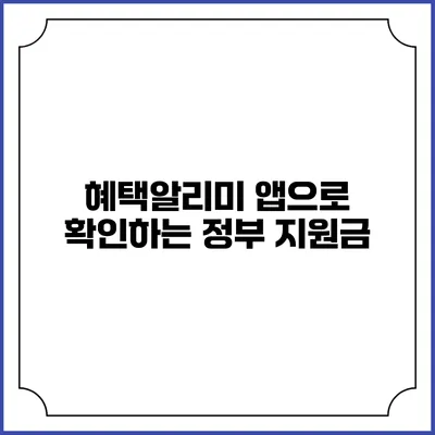 혜택알리미 앱으로 확인하는 정부 지원금