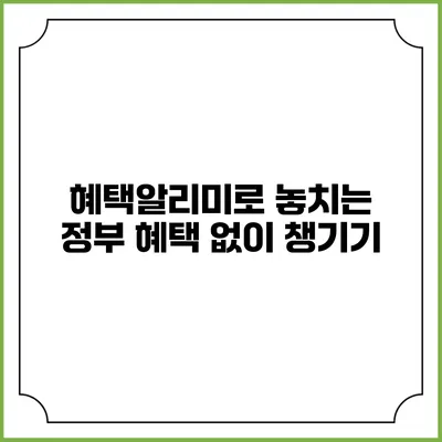 혜택알리미로 놓치는 정부 혜택 없이 챙기기
